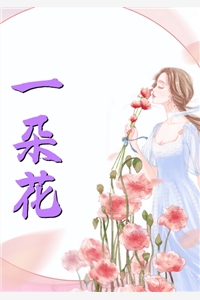 陆先生，别来无恙章节